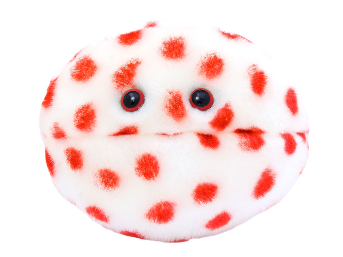 GIANTmicrobes Measles