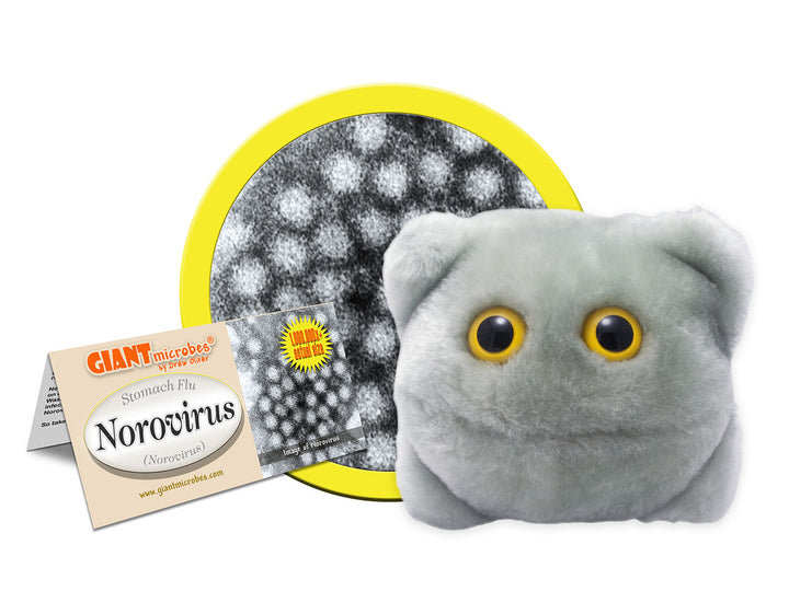 GIANTmicrobes Norovirus