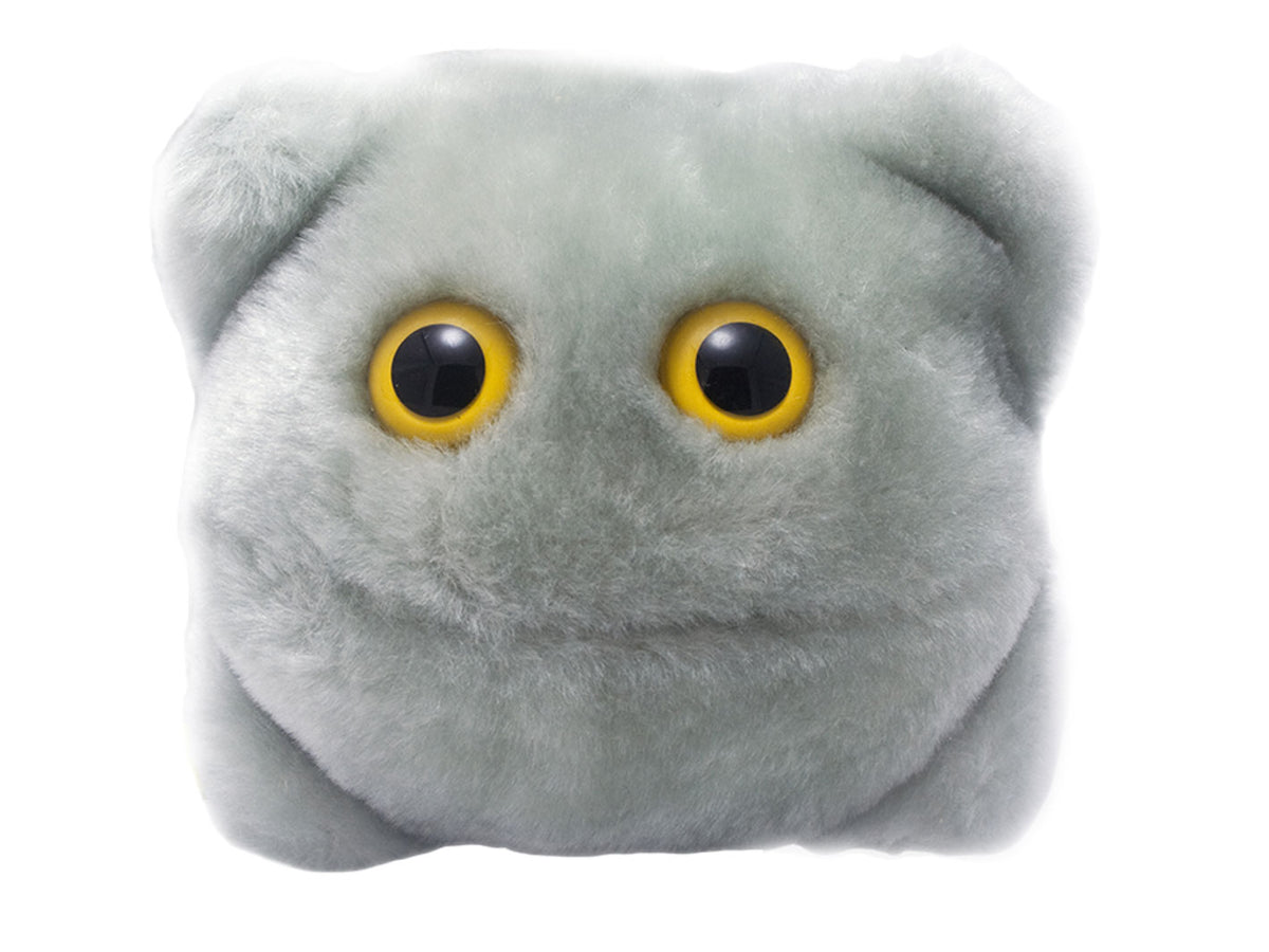 GIANTmicrobes Norovirus