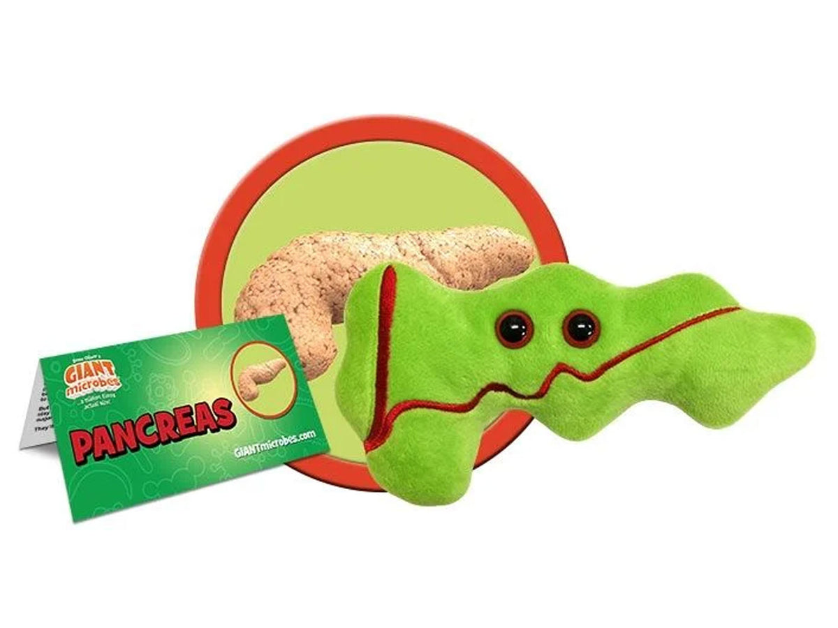 GIANTmicrobes Pancreas