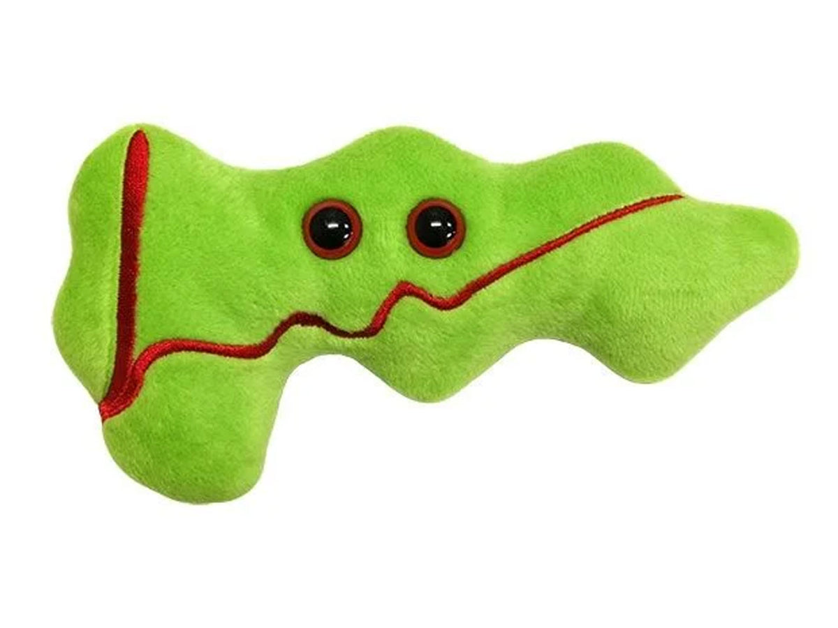 GIANTmicrobes Pancreas