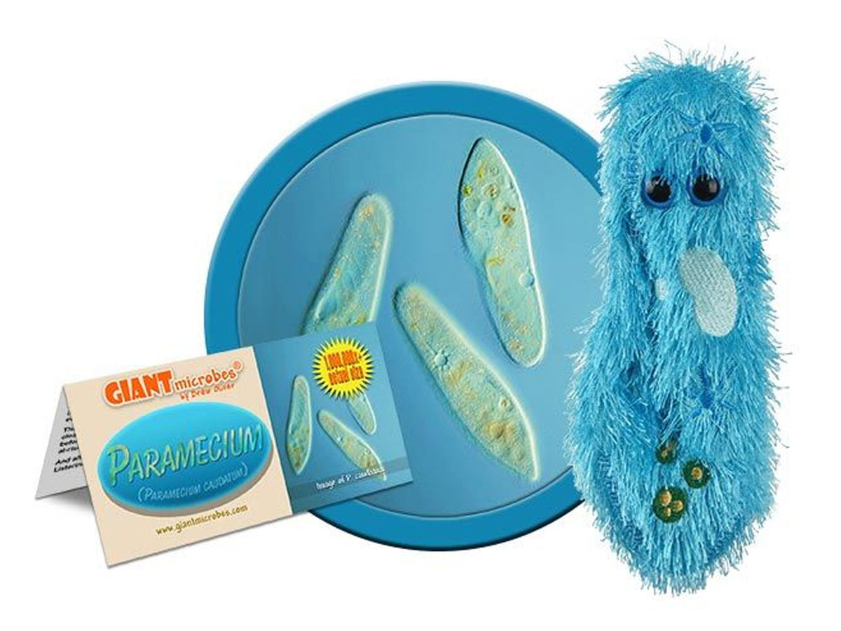 GIANTmicrobes Paramecium