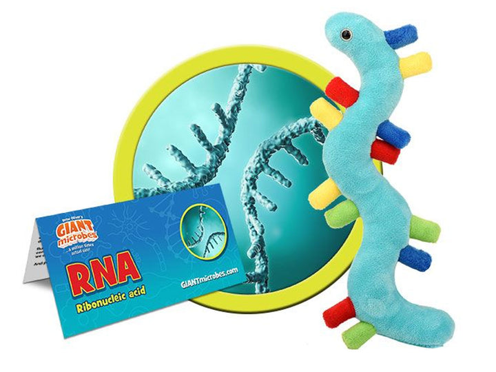 GIANTmicrobes RNA