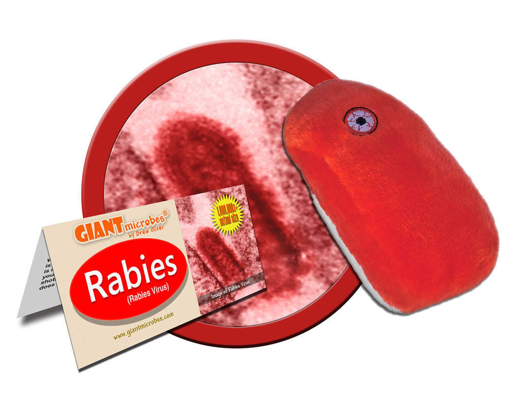GIANTmicrobes Rabies
