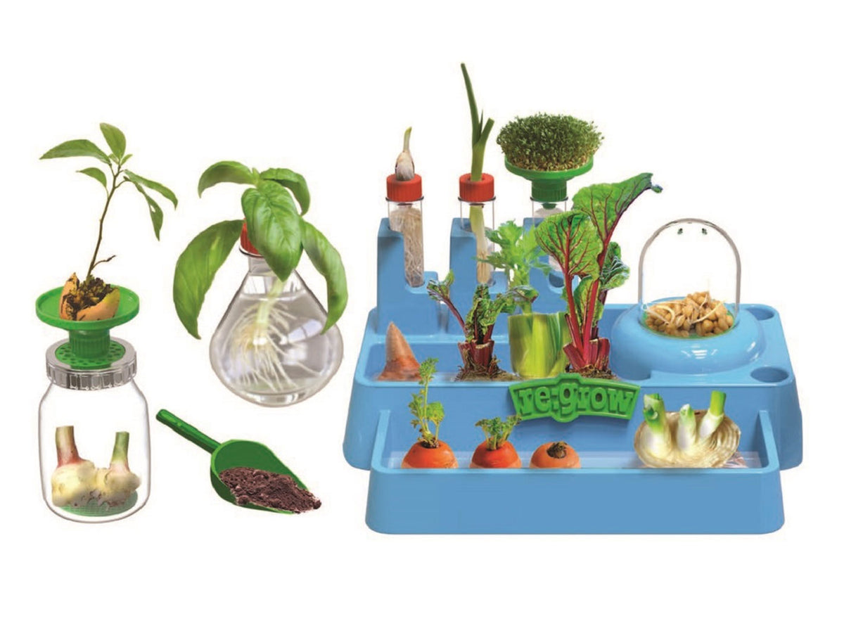 Regrow Lab