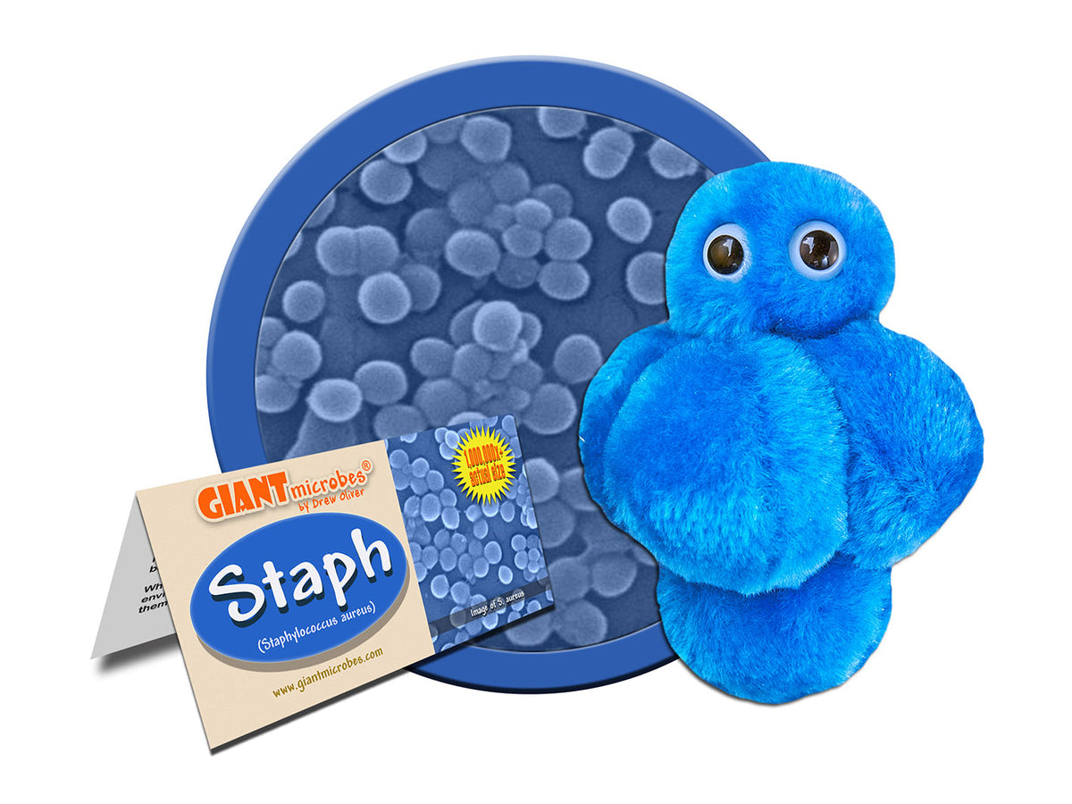 GIANTmicrobes Staph