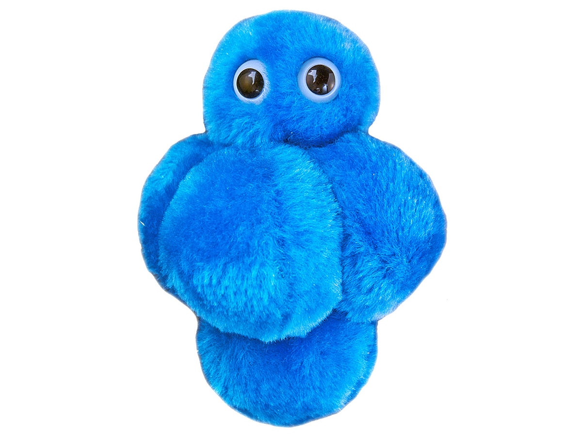 GIANTmicrobes Staph