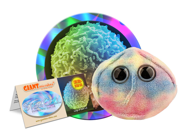 GIANTmicrobes Stem Cell
