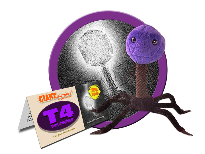 GIANTmicrobes T4 Bacteriophage