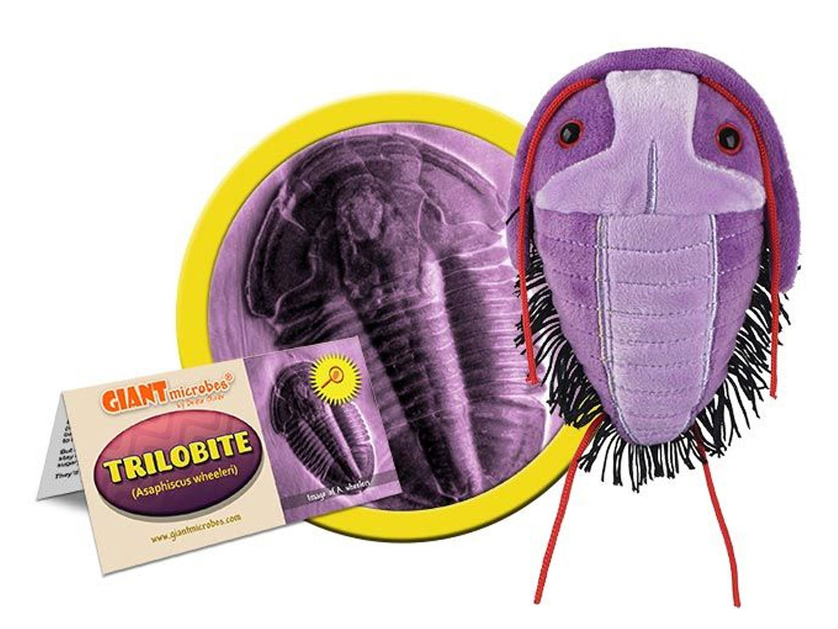 GIANTmicrobes Trilobite