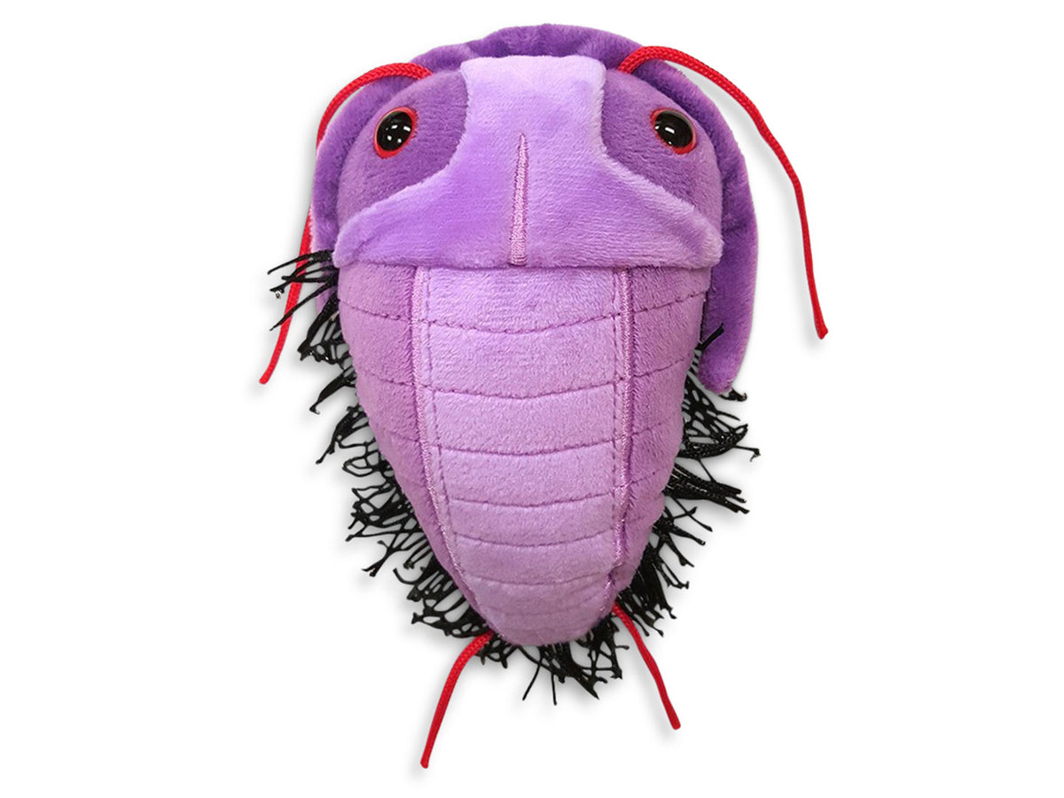 GIANTmicrobes Trilobite