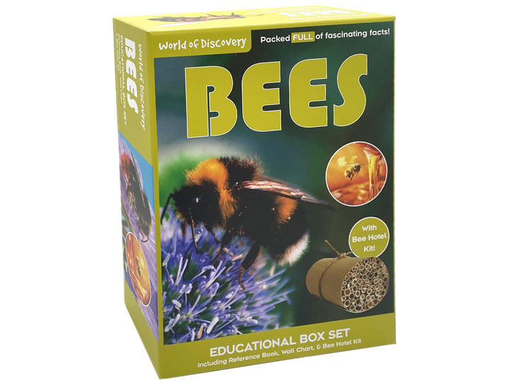 Bees - Educational Box Set