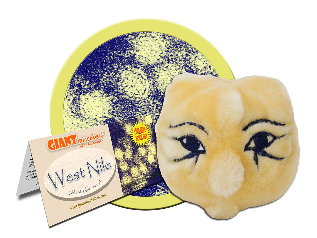 GIANTmicrobes West Nile