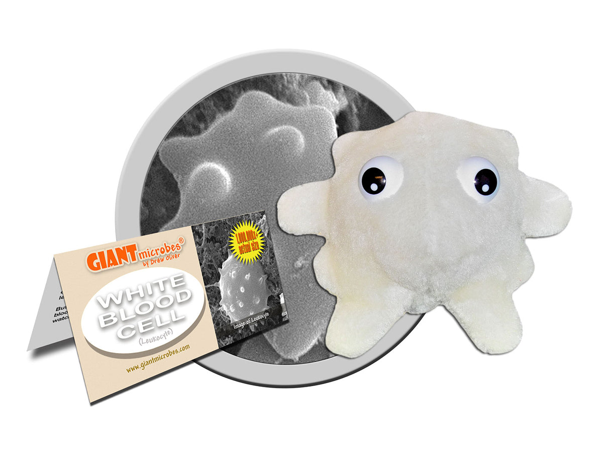 GIANTmicrobes White Blood Cell