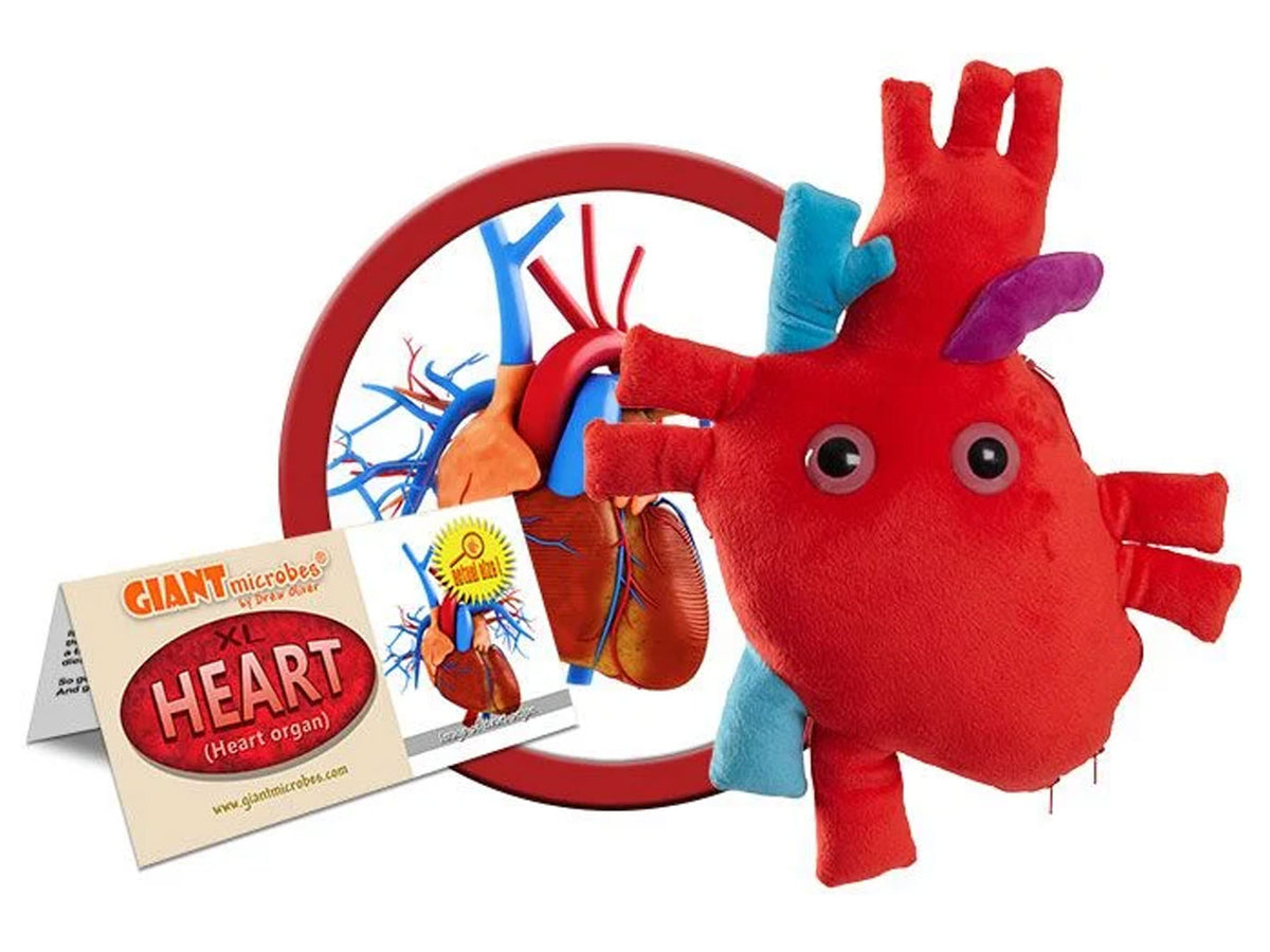 GIANTmicrobes XL Heart