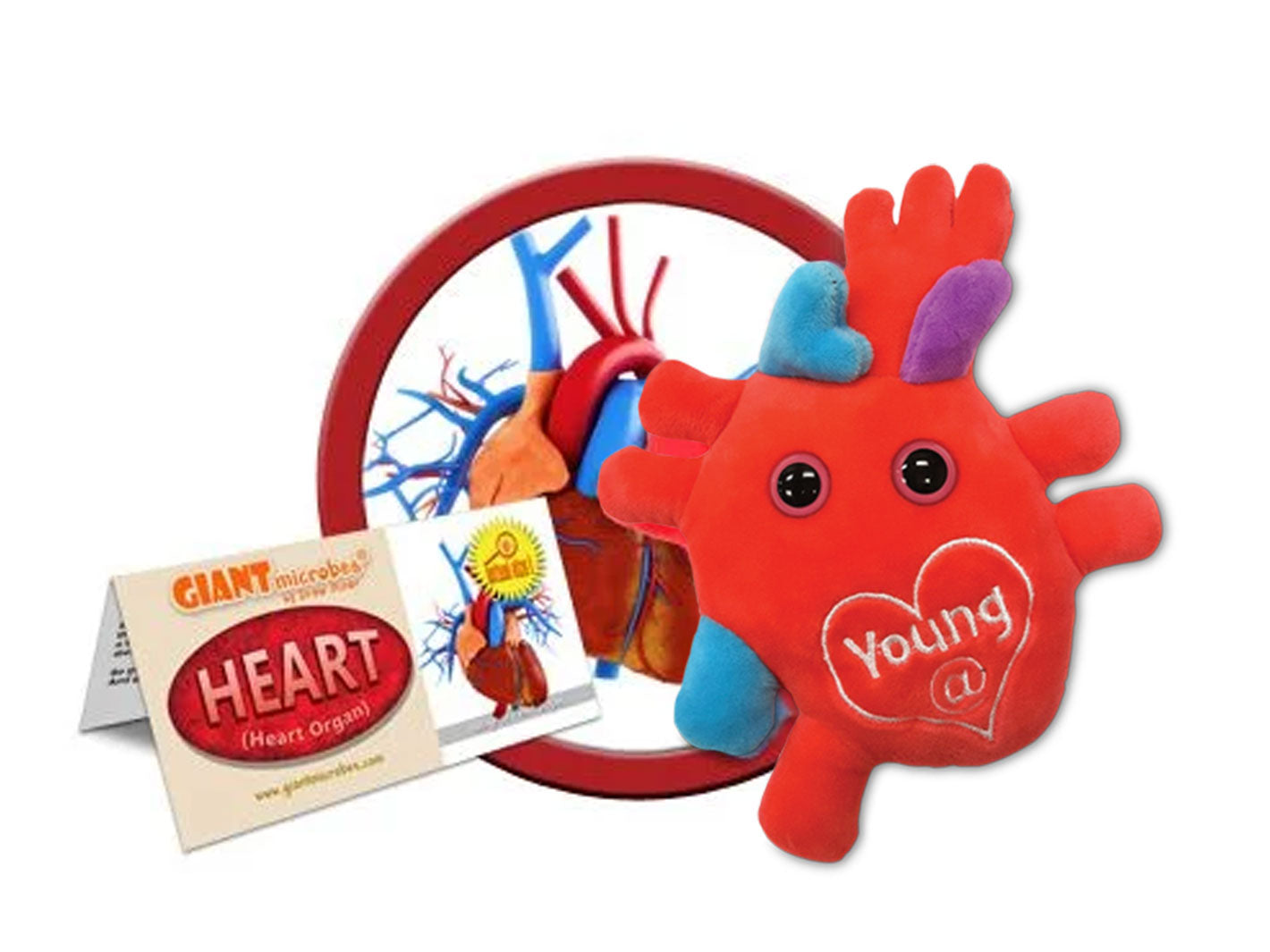 Giant store microbes heart