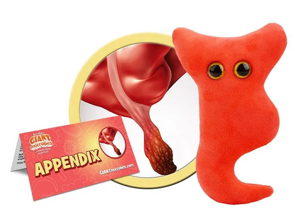 GIANTmicrobes Appendix