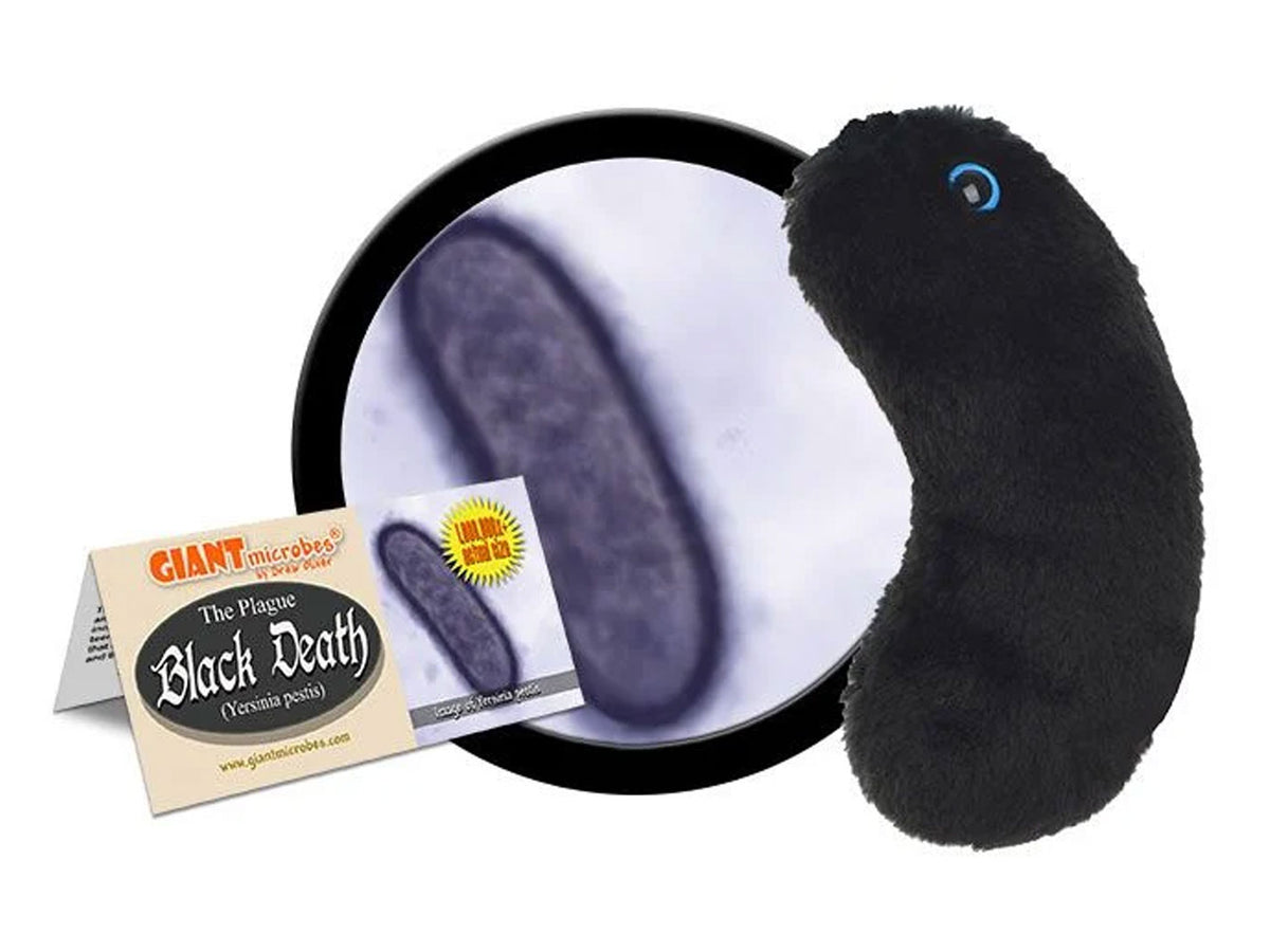 GIANTmicrobes Black Death