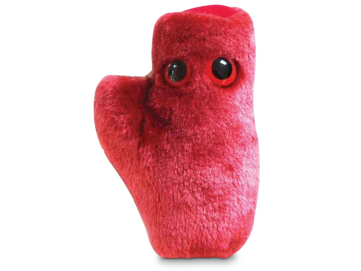 GIANTmicrobes Heart Cell