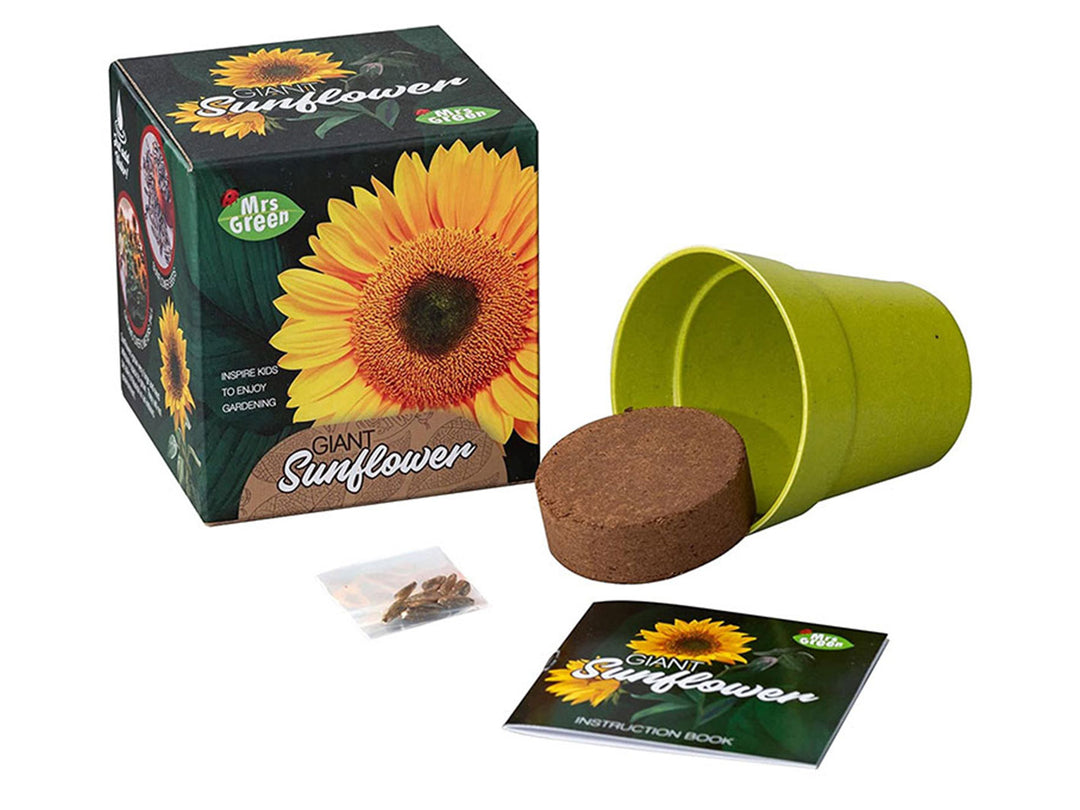 Giant Sunflower Kit