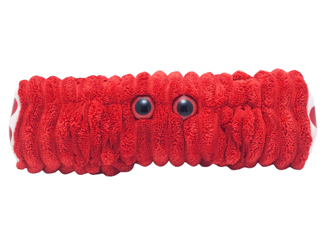 GIANTmicrobes Muscle Cell