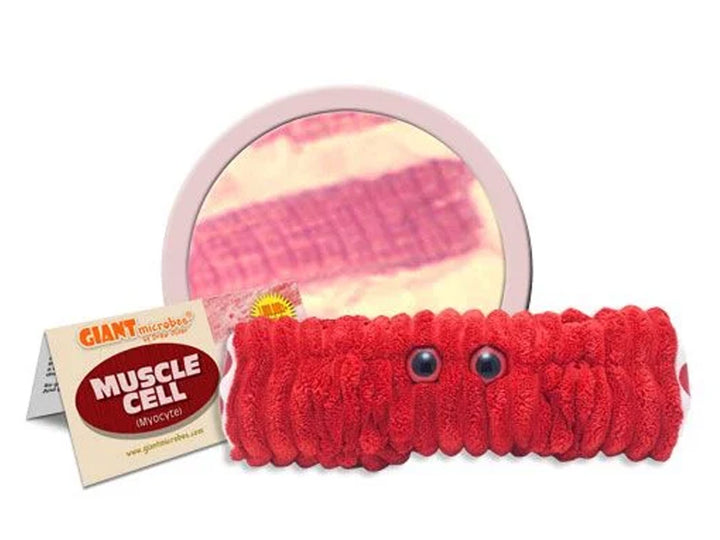 GIANTmicrobes Muscle Cell