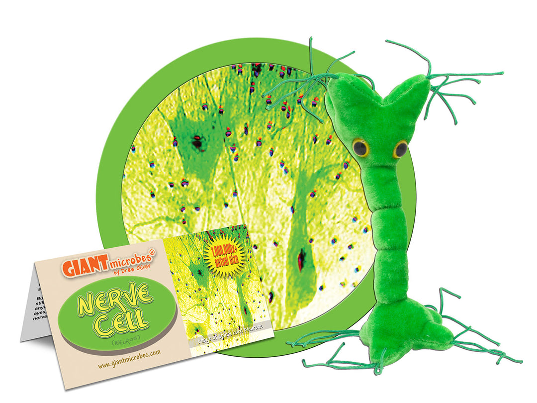GIANTmicrobes Nerve Cell