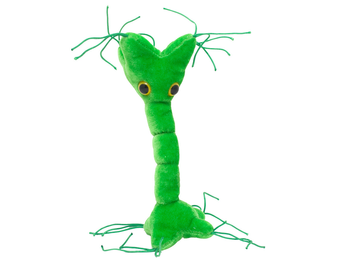 GIANTmicrobes Nerve Cell