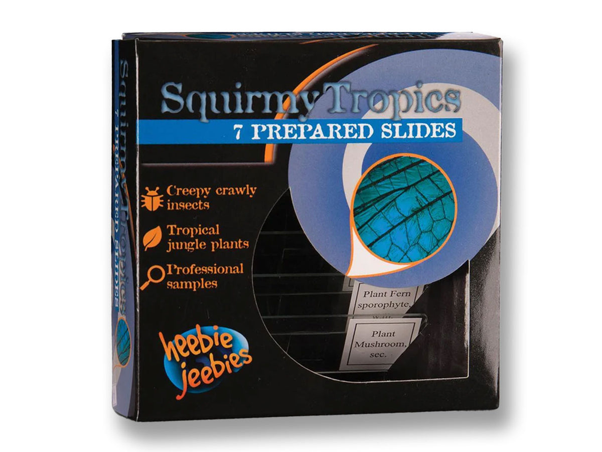 Squirmy Tropics Slides